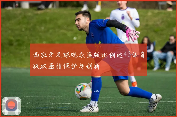 西班牙足球观众盗版比例达43体育版权亟待保护与创新
